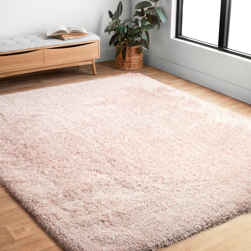 Grovelane Aarav Shag Blush Pink Area Rug & Reviews | Wayfair.ca